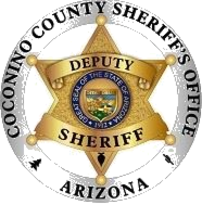 Sheriff badge with Arizona state seal